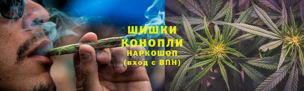 a pvp Аркадак