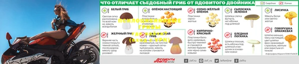 apvp Нефтегорск
