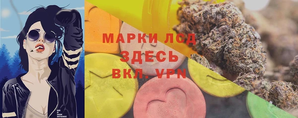 a pvp Аркадак