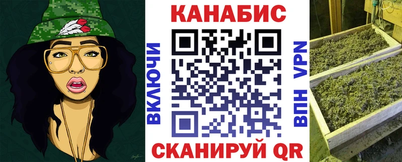 кракен рабочий сайт  закладки  Славгород  Марихуана индика 